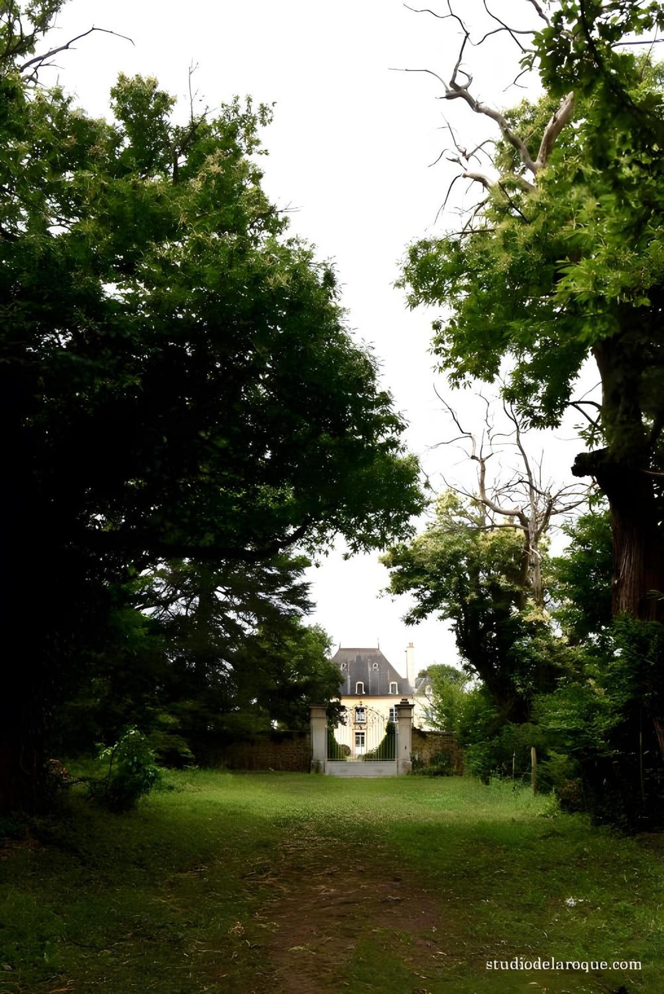 Bed and Breakfast Domaine De La Briouse Sanxay Exterior foto