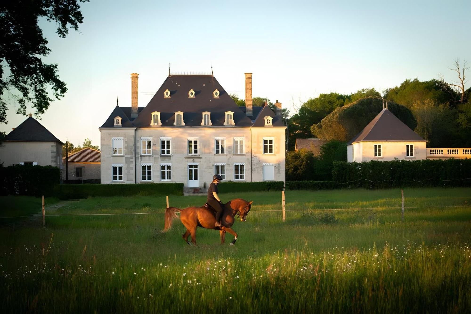 Bed and Breakfast Domaine De La Briouse Sanxay Exterior foto